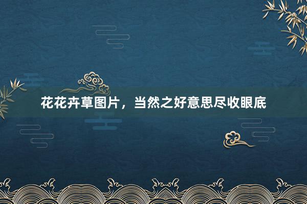 花花卉草图片,当然之好意思尽收眼底