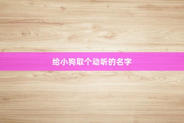 给小狗取个动听的名字